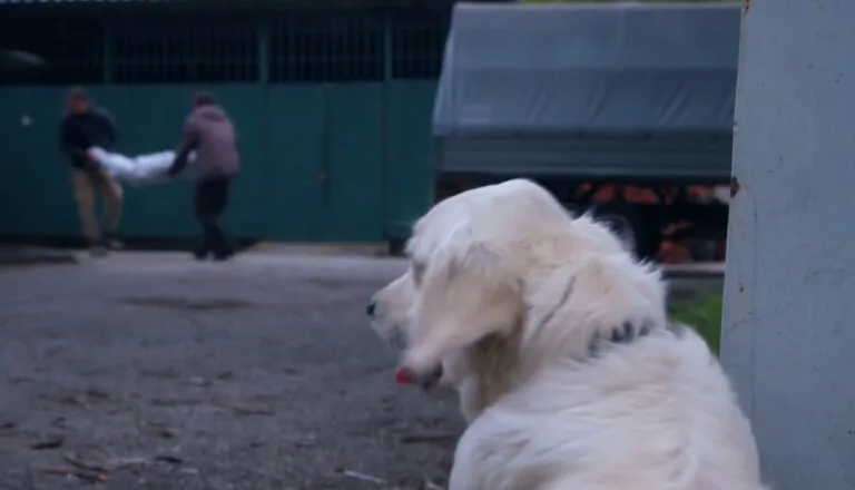 Момент из 26 серии 1 сезона